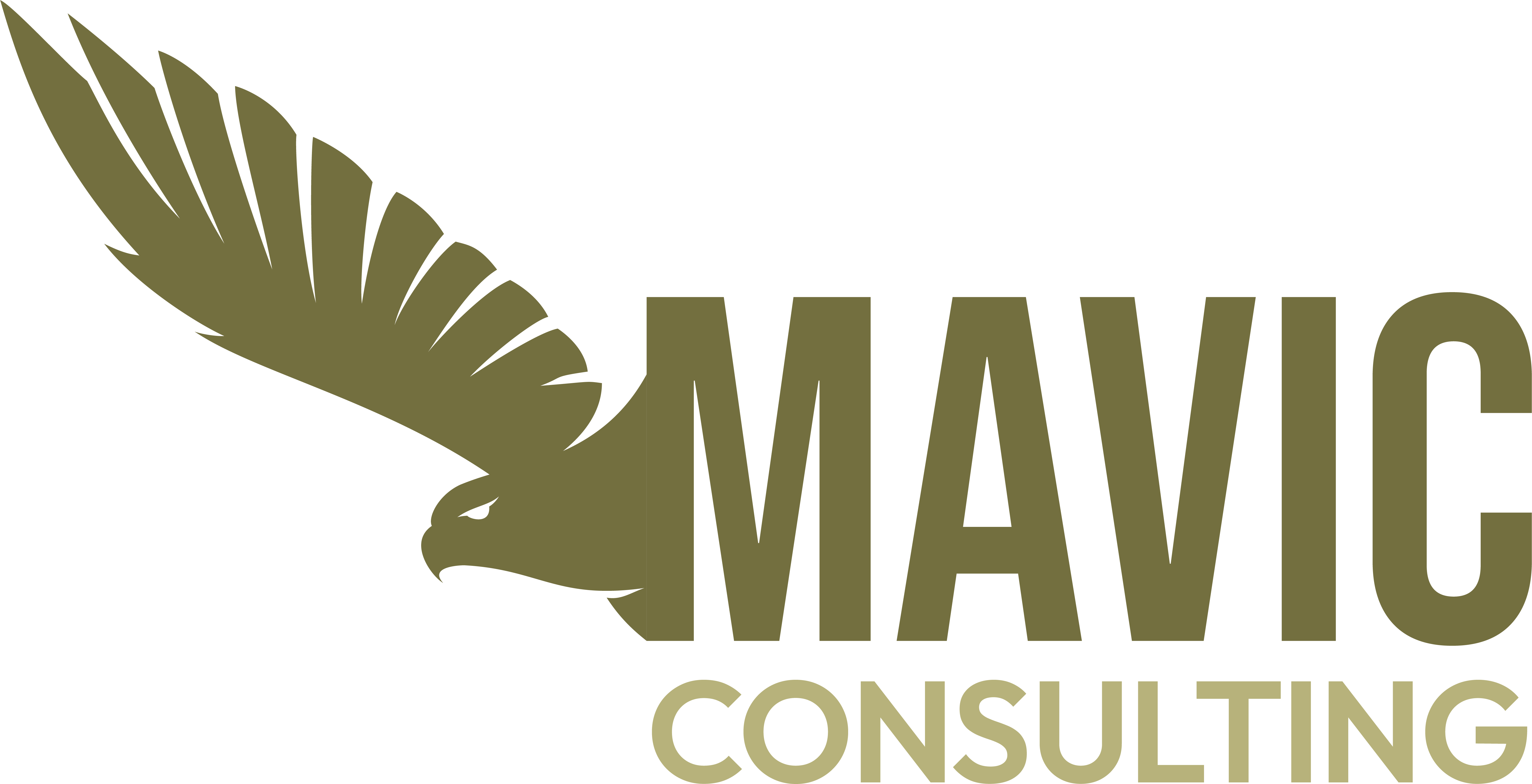 logo dark