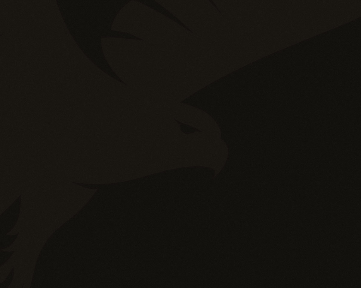 placeholder_dark_4x5