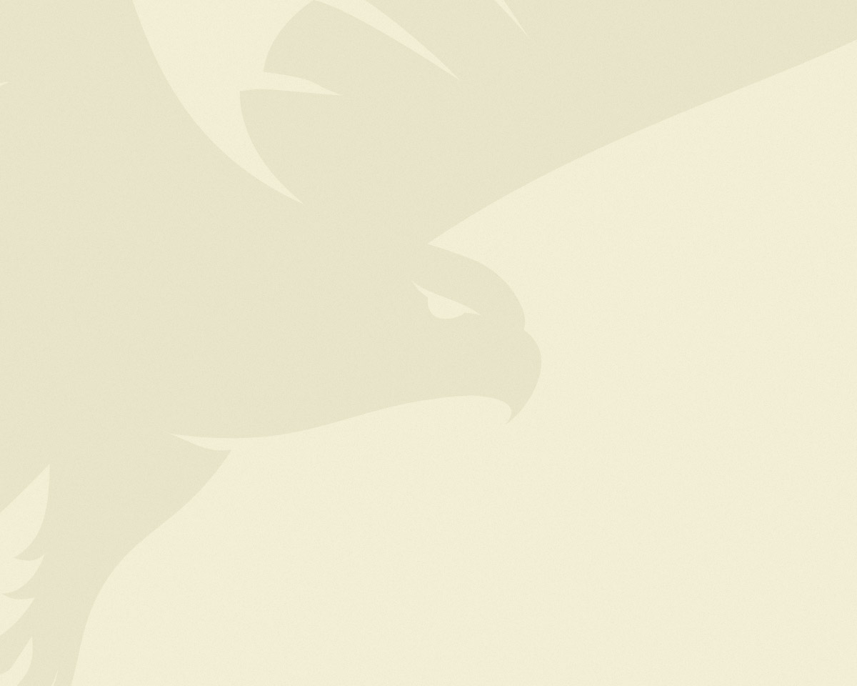 placeholder_light_4x5